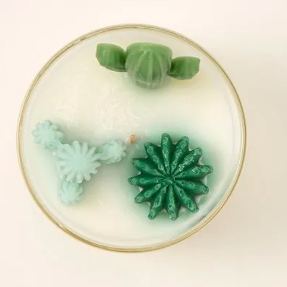 💥BUY 5 GET 3 FREE  Terrarium Candle CACTUS, Originally $27.00 - Picture 2 of 9